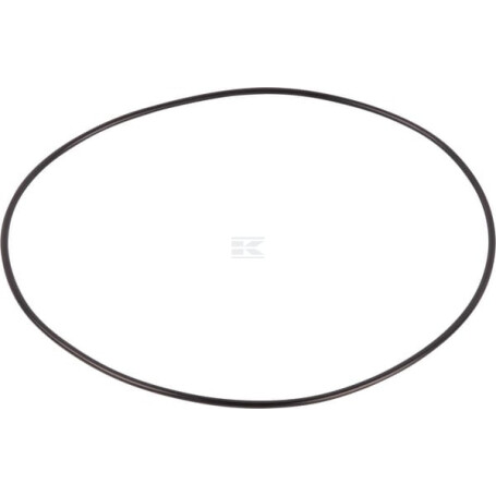 Bague SPICER DANA 001051422