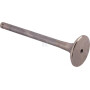 Soupape d'échappement SDF 001060220