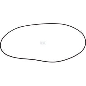 Bague SPICER DANA 001052945