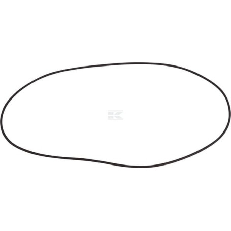 Bague SPICER DANA 001052945