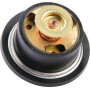 Thermostat CLAAS 0011738580