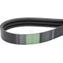 Courroie OPTIBELT 0004950080AB