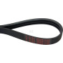 Courroie CLAAS 0006444650