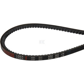 Courroie GIANNI FERRARI 0017000310