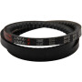 Courroie GIANNI FERRARI 0017000310