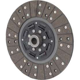 Disque de limiteur RAICO 001563913N