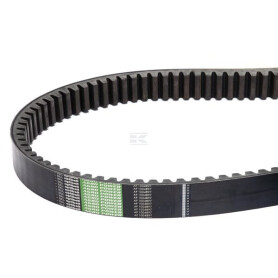 Coffret de rotor OPTIBELT 0007449650AB
