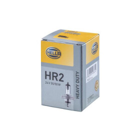 Ampoule RAICO 002088271