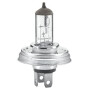 Ampoule RAICO 002088271