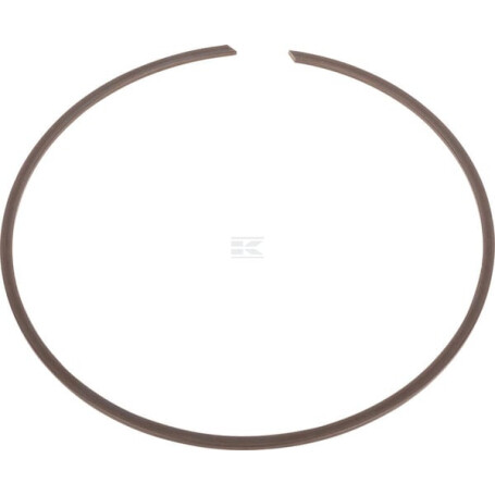 Circlip SPICER DANA 002063193