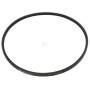 Courroie WOLF-GARTEN 0039214