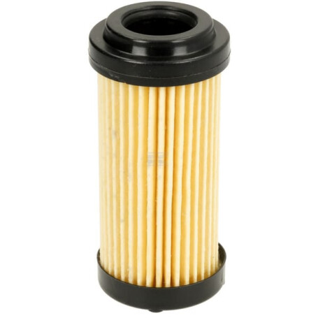 Filtre GIANNI FERRARI 0032030010