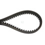 Courroie WOLF-GARTEN 0039003