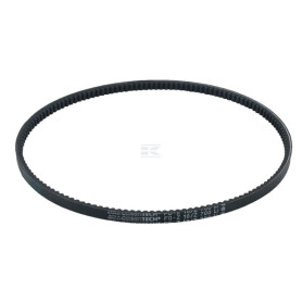 Courroie WOLF-GARTEN 0039204