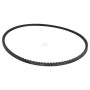 Courroie WOLF-GARTEN 0039215