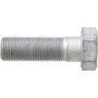 Vis HORSCH 00360179