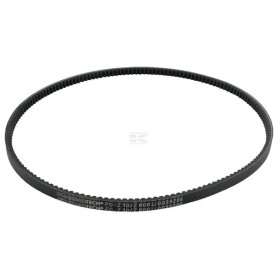 Courroie WOLF-GARTEN 0039206