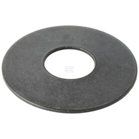 Disque à ressort GIANNI FERRARI 0048000160