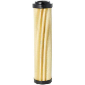Filtre GIANNI FERRARI 0032030015