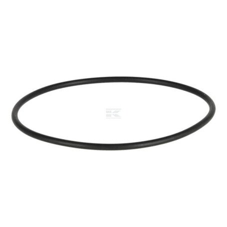 Joint torique DEUTZ 01172319