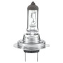 Ampoule RAICO 007157241
