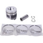 Piston SDF 00870060A