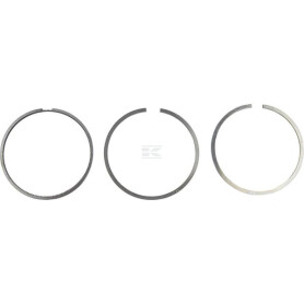 Segment SDF 00810090610