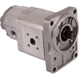 Pompe hydraulique GOLDONI 02030325