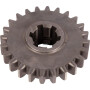 Engrenage SDF 01993650020