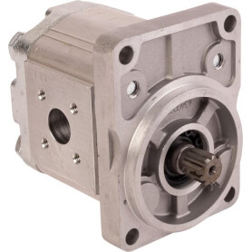 Pompe GOLDONI 02030165