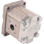 Pompe GOLDONI 02030165