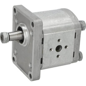 Pompe hydraulique GOLDONI 02030029