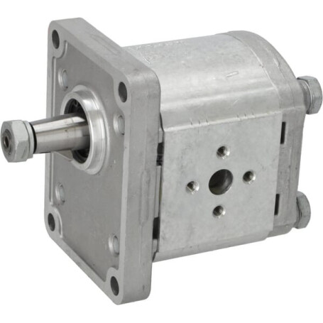 Pompe hydraulique GOLDONI 02030029