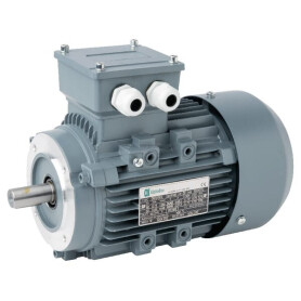 Moteur électrique UNBRANDED 015602