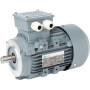 Moteur électrique UNBRANDED 015603