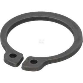 Anneau AGRIA 01349