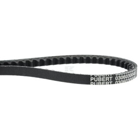 Correa PUBERT 0306030048