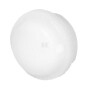 Vide lampe NEW-ELFIN 030GLSB
