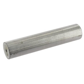 Pivot BPW 0308650020