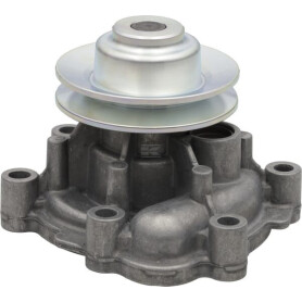 Pompe DEUTZ 04300281