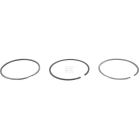 Segments DEUTZ 04287513