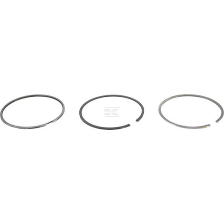 Segments DEUTZ 04287513