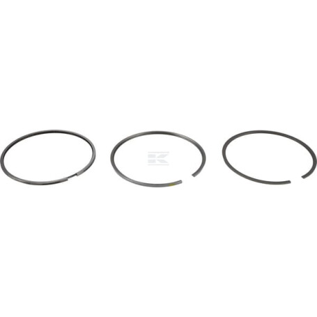 Segments DEUTZ 04501339
