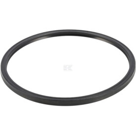 Dichtring ZF 0501313668