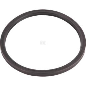 O-Ring ZF 0501319957
