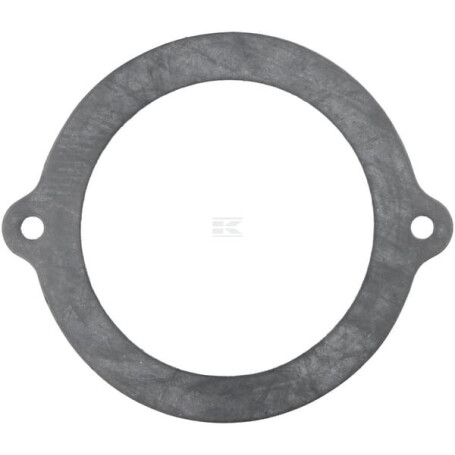 Bague d'étanchéité ZF 0501303920