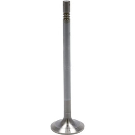 Soupape d'admission DEUTZ 04903005