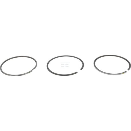 Segments DEUTZ 04900839