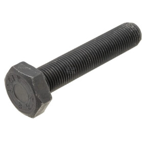 Boulon DEUTZ 06209714