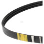 Courroie OPTIBELT 0619185AB